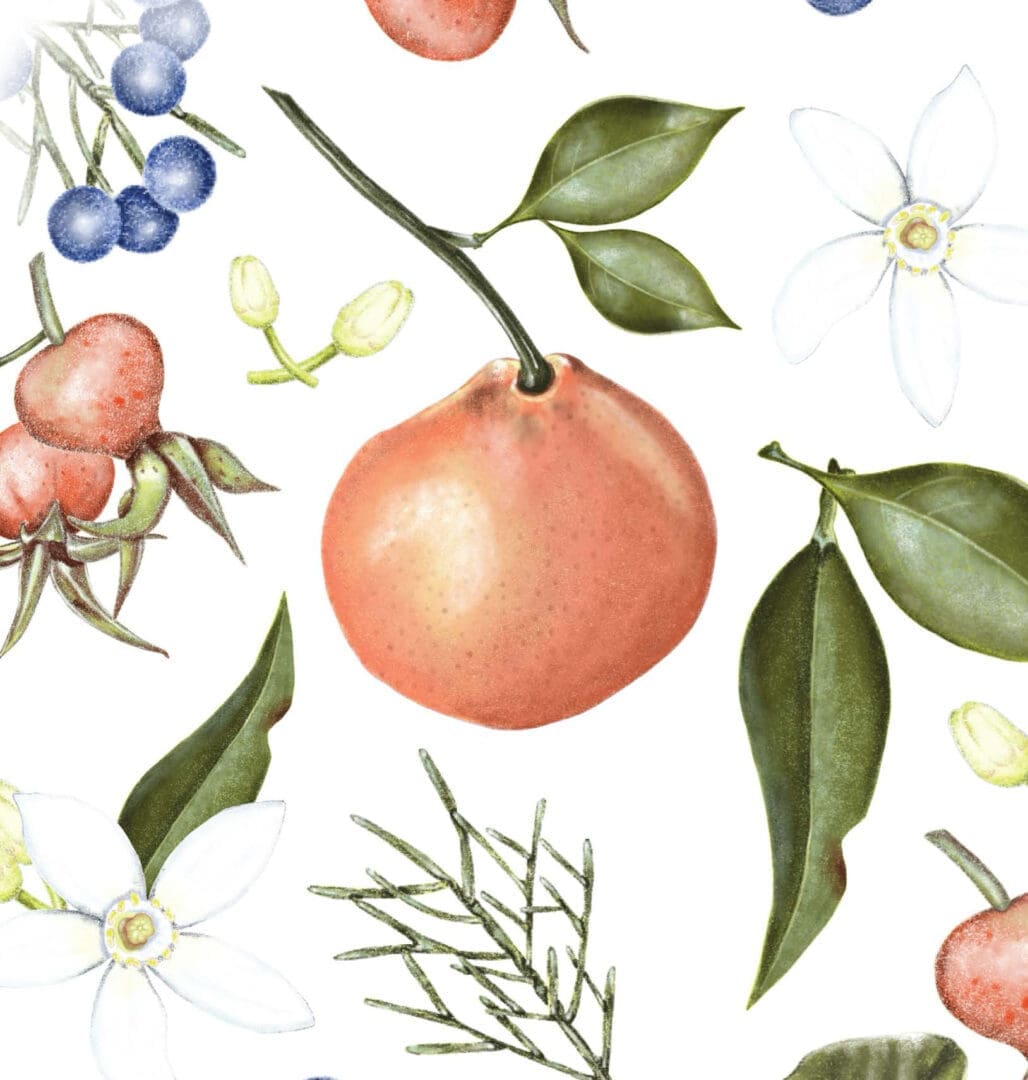 A painting of various fruits and flowers on a white background.