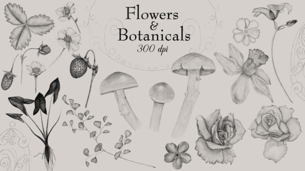 A bunch of flowers and botanicals are drawn