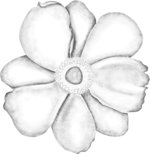 A black flower is drawn on green background