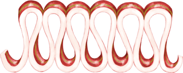 A red and white candy cane border on green background.