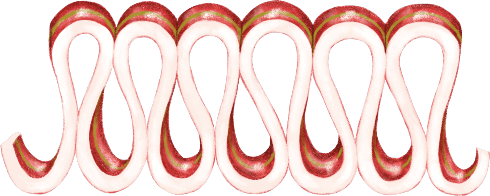 A red and white candy cane border on green background.