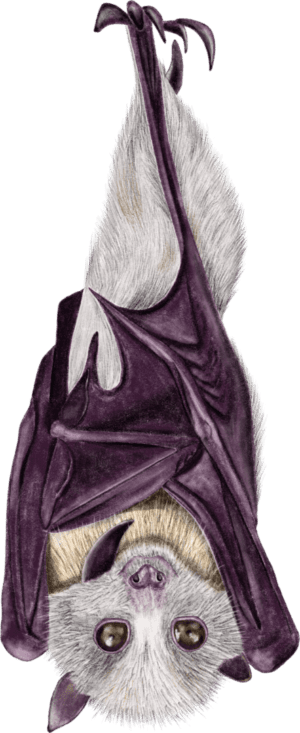 A drawing of an animal with purple and white fur.