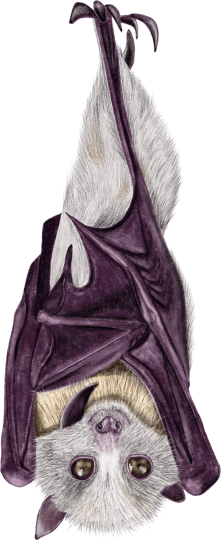 A drawing of an animal with purple and white fur.