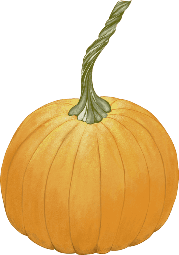 A pumpkin with green stem and orange center.