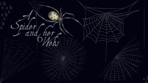 A black background with white writing and some spider webs