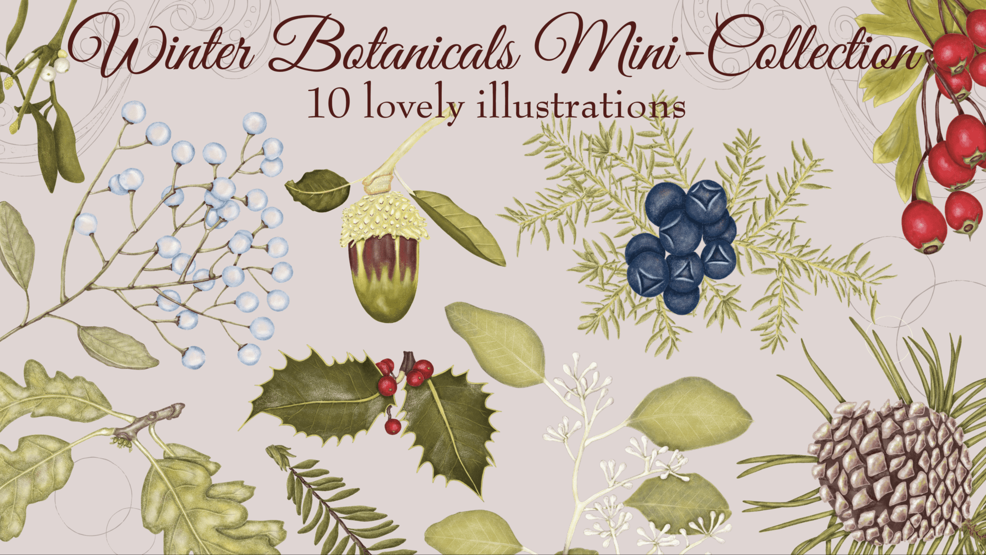 A collection of hand drawn leaves and berries.